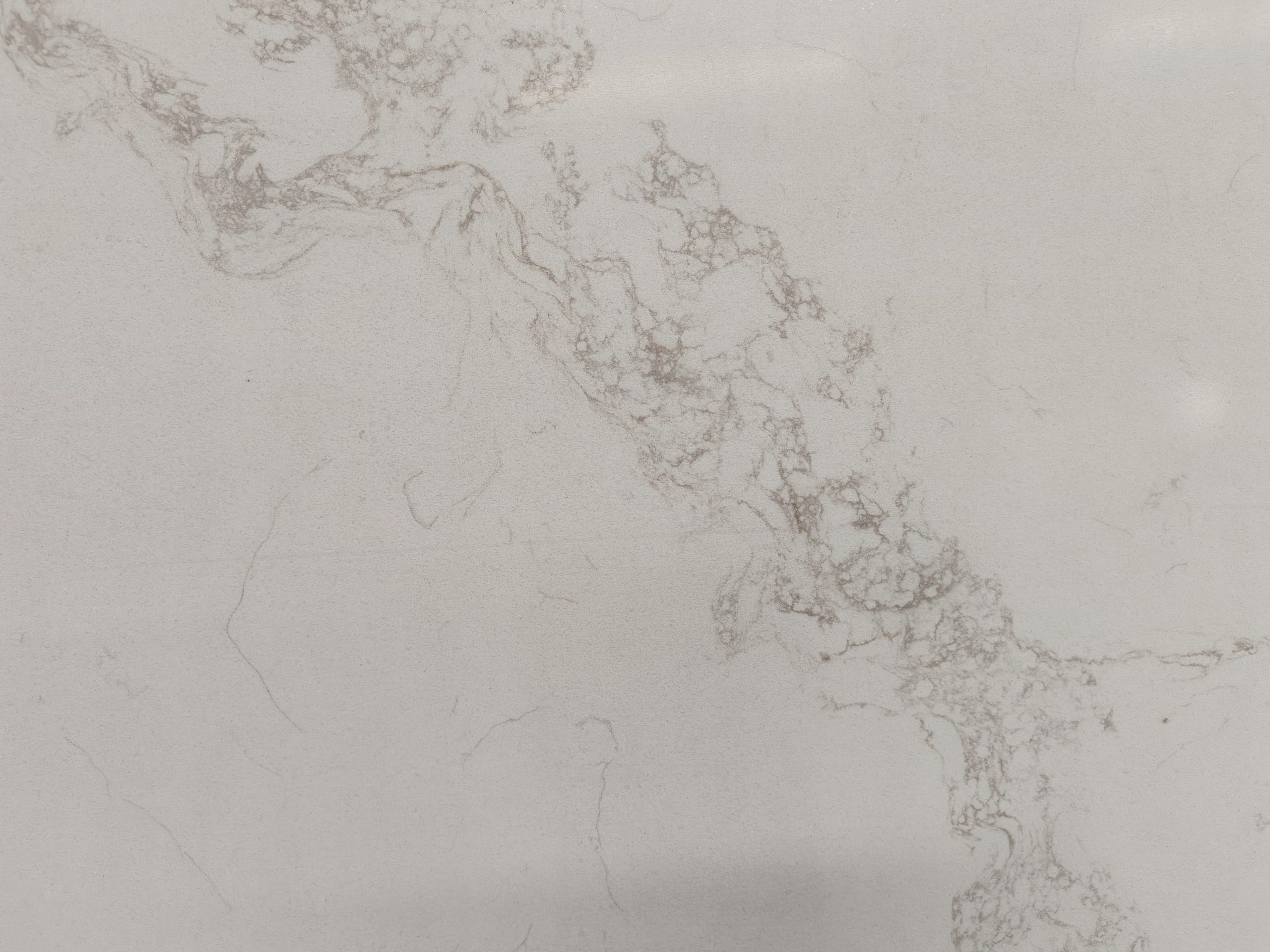 Brecken Ridge - Close up image 1