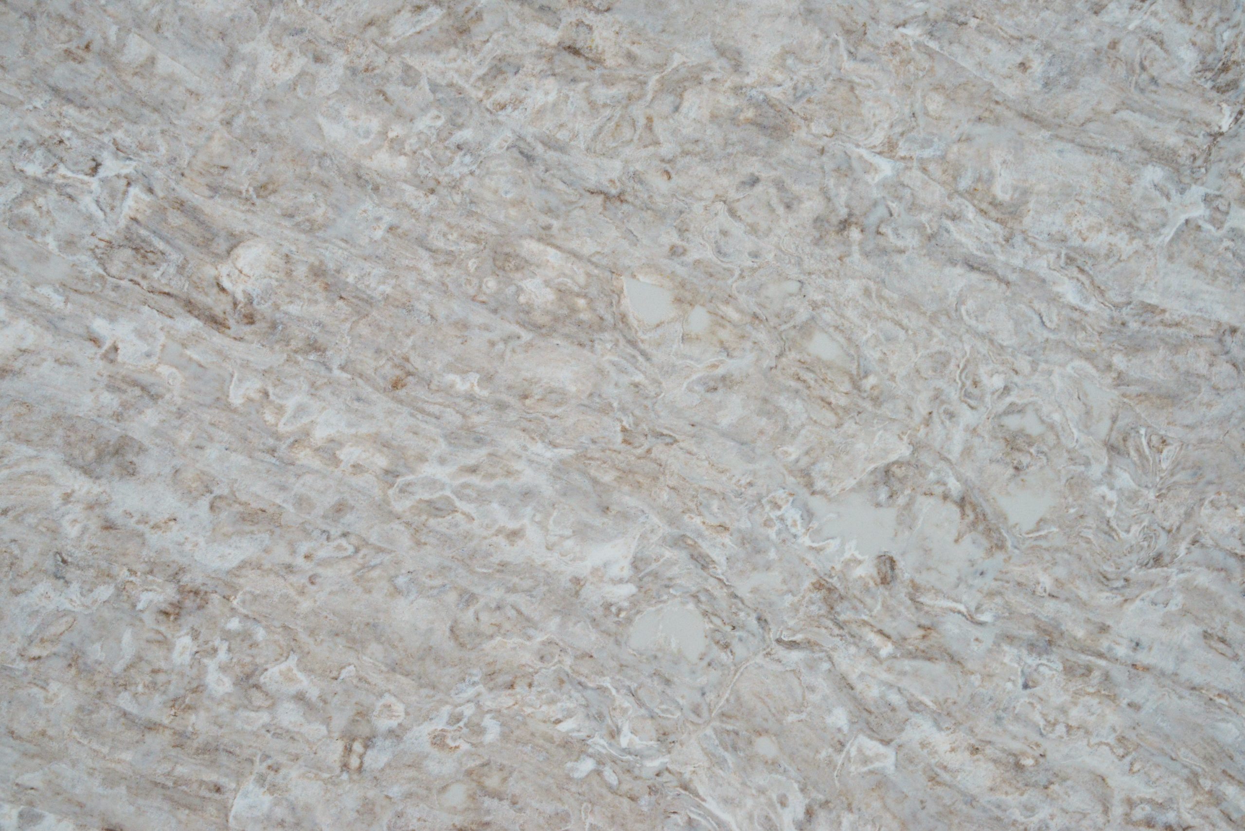Silver Dune Closeup.JPG Close-up